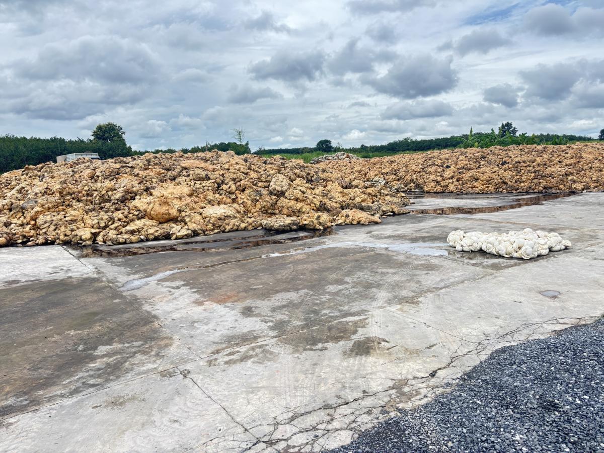 5370324917688489655290564542767418758568393n