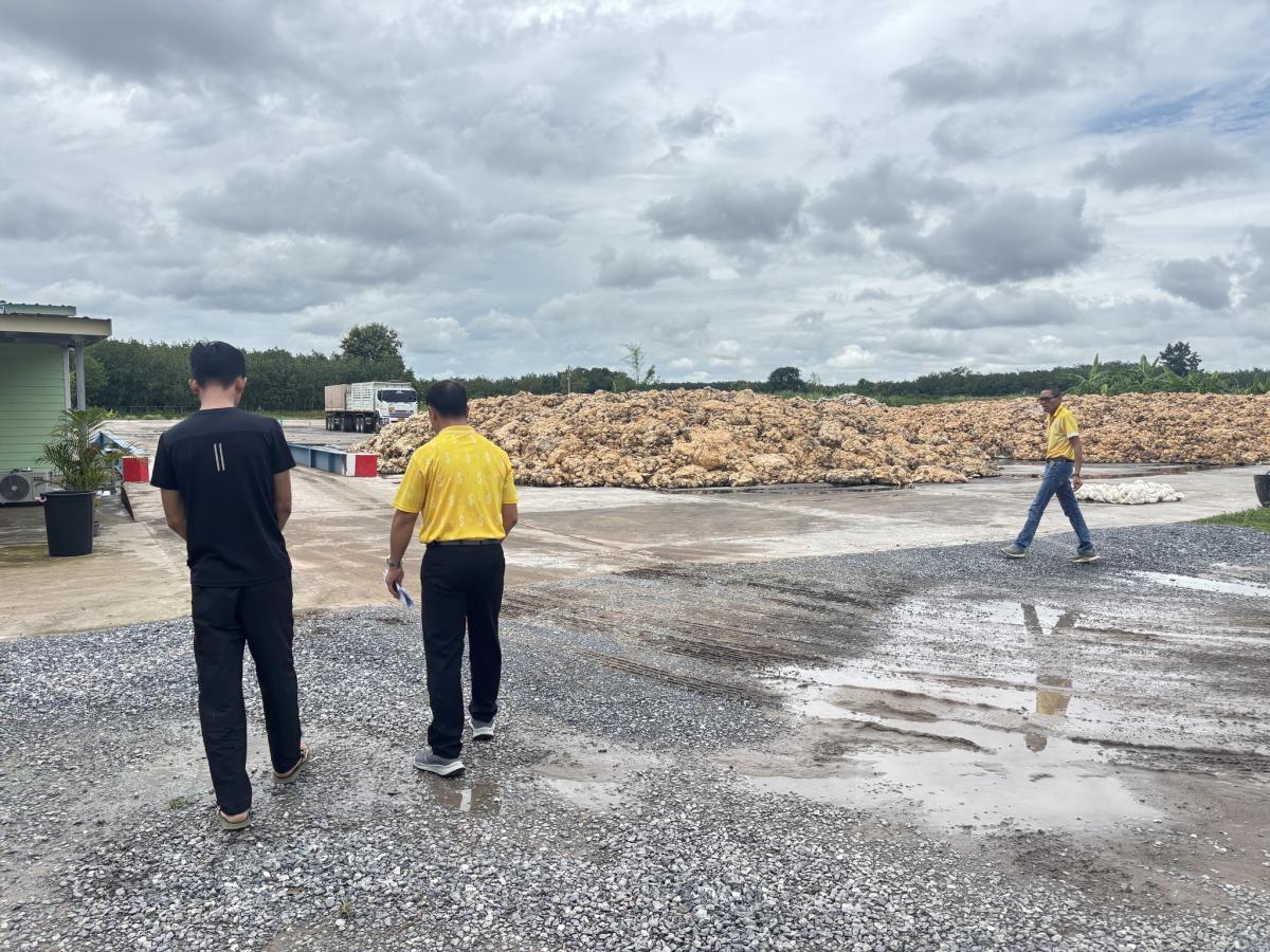 5371348597688489821957218066136729665425424n