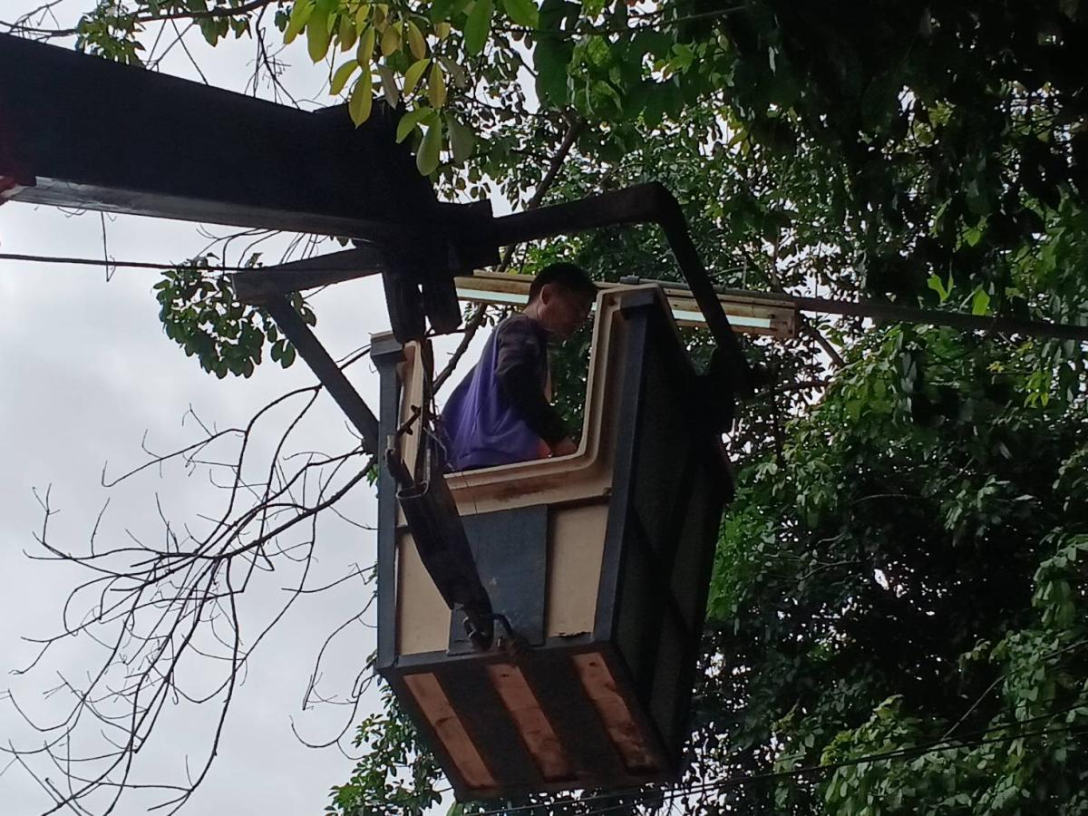 5378243657728473584625506634442918725185993n