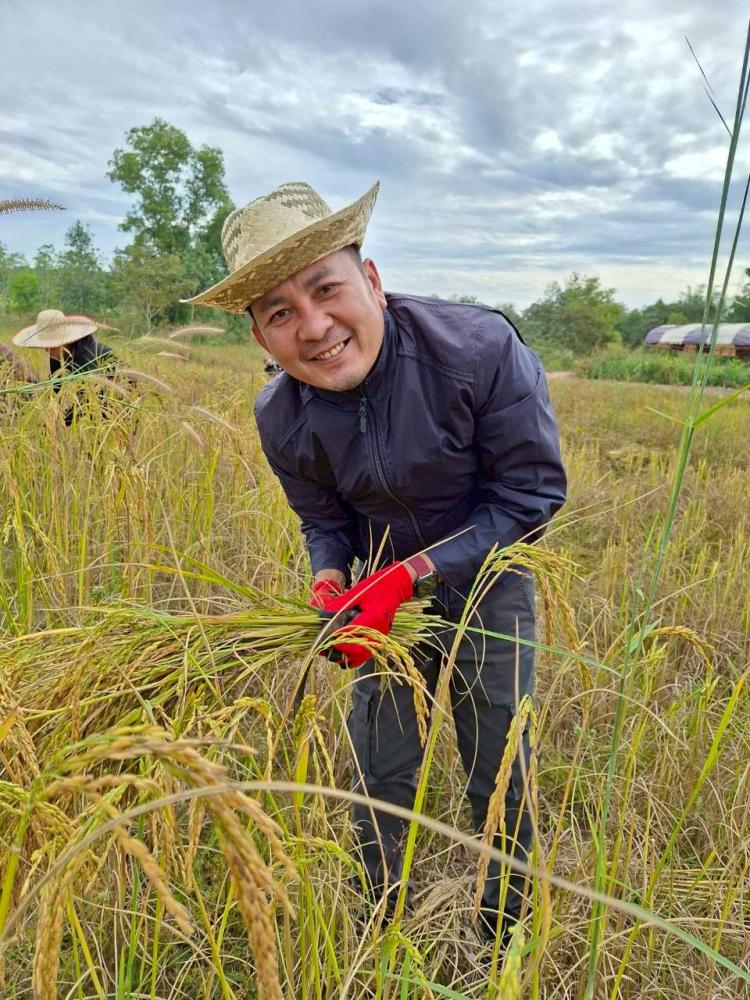 LINEALBUM-6925112418