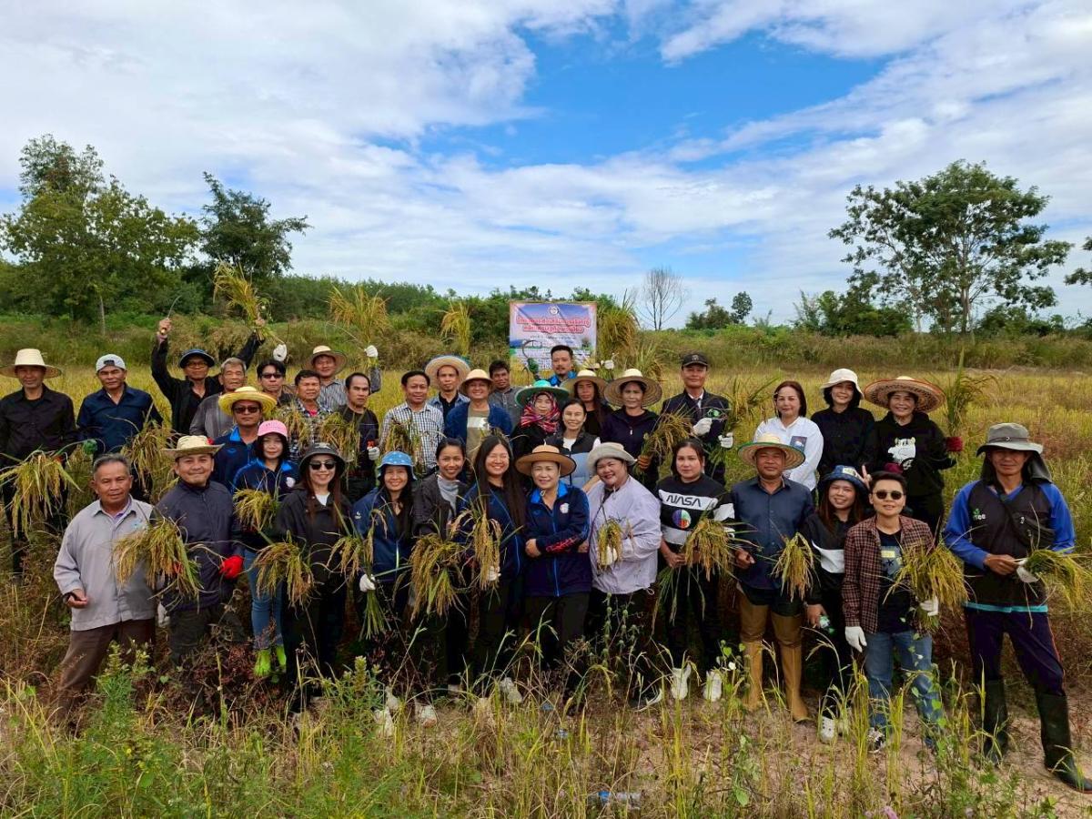 LINEALBUM-6925112422---Copy