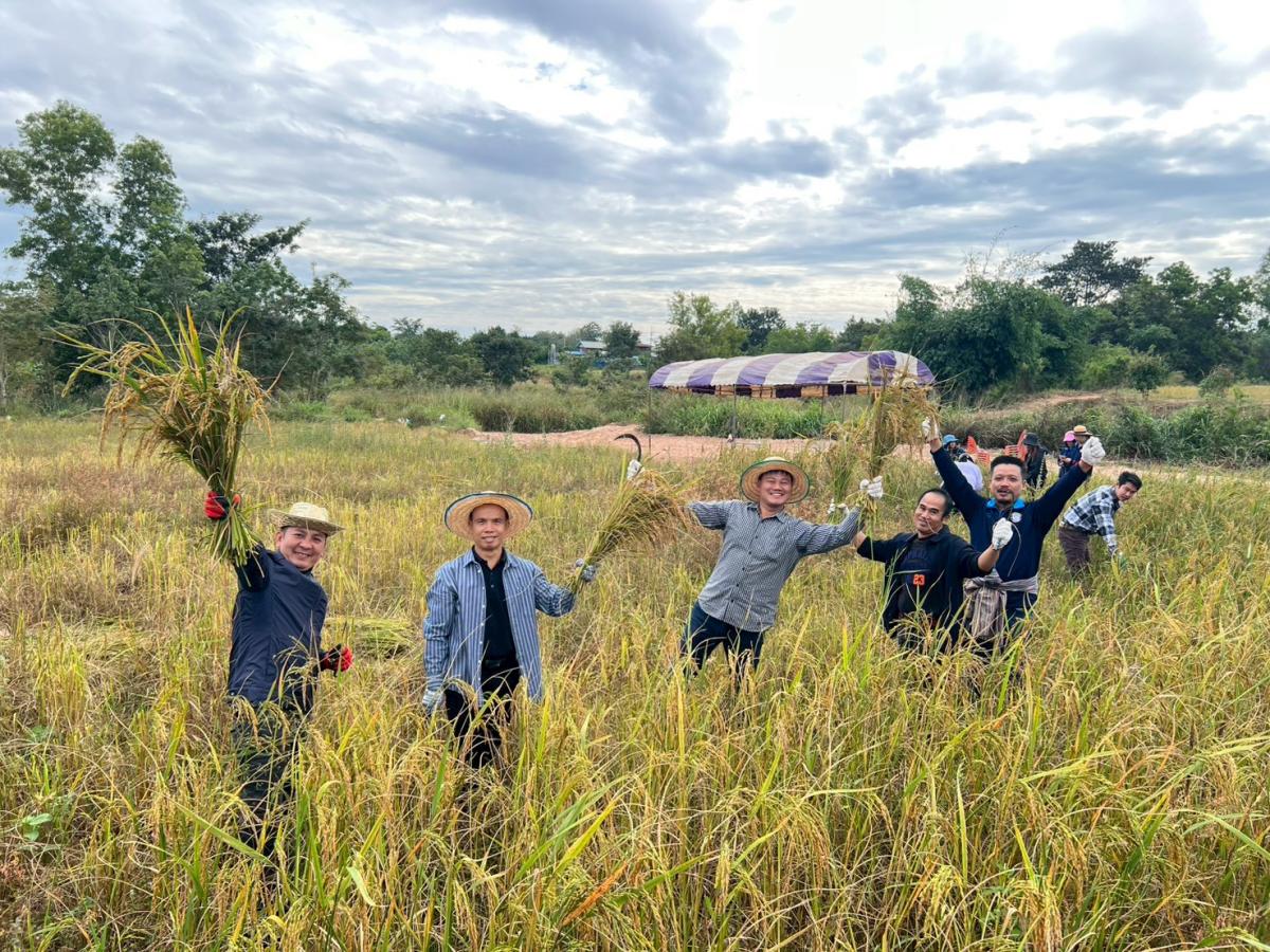 LINEALBUM-6925112429