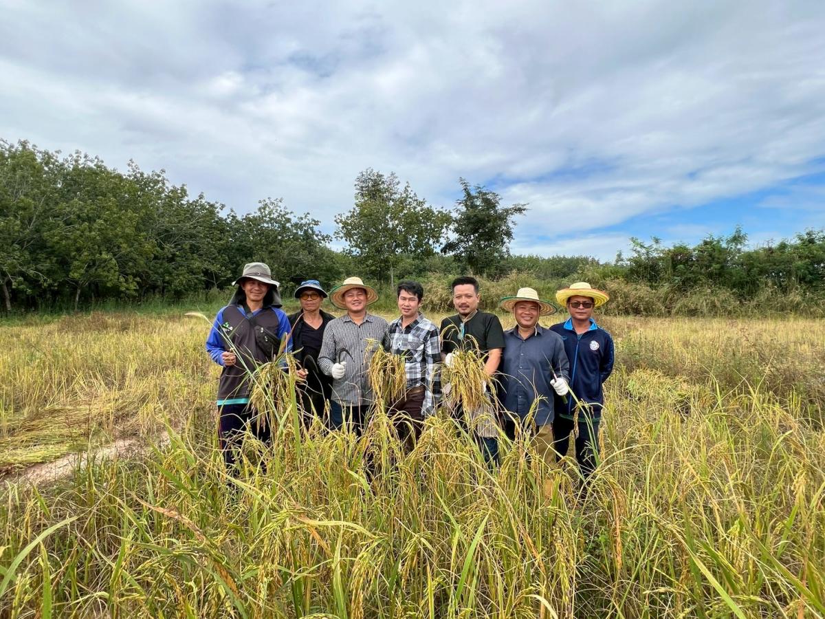 LINEALBUM20--682511241---Copy