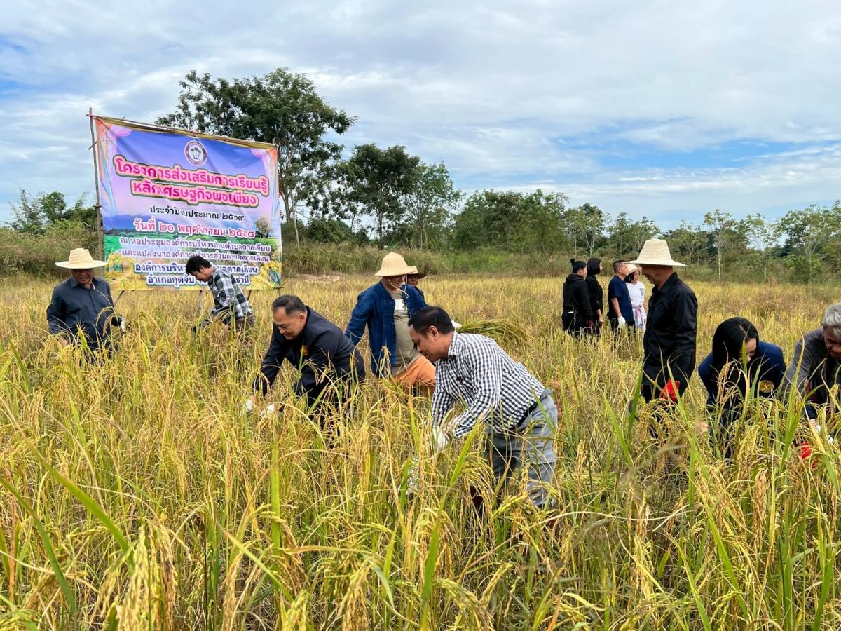 LINEALBUM20--682511242---Copy