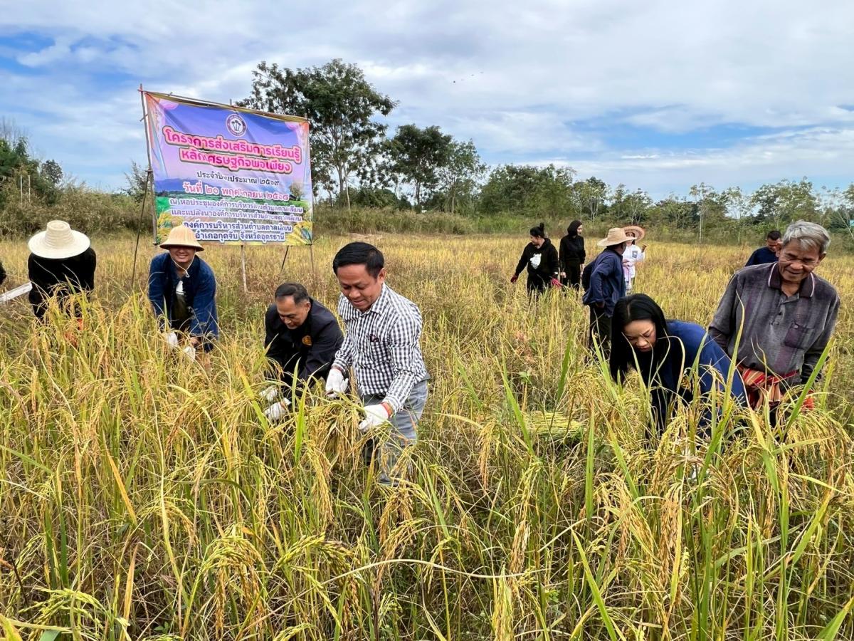 LINEALBUM20--682511243---Copy