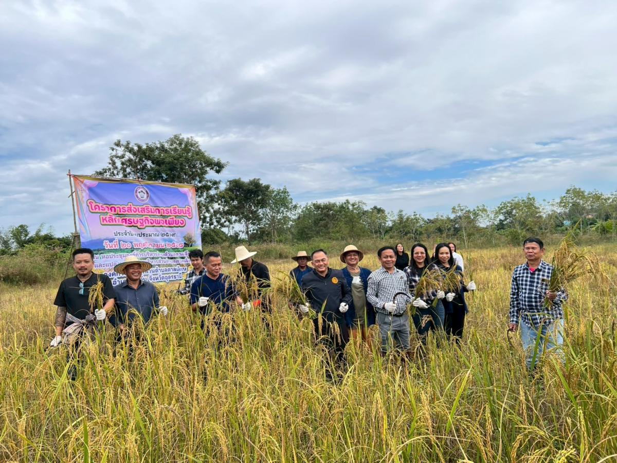 LINEALBUM20--682511244---Copy