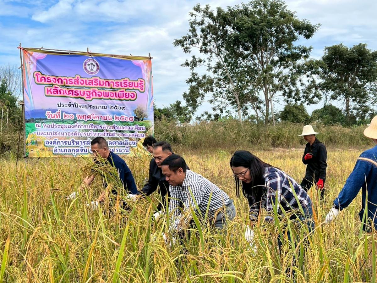 LINEALBUM20--682511245---Copy